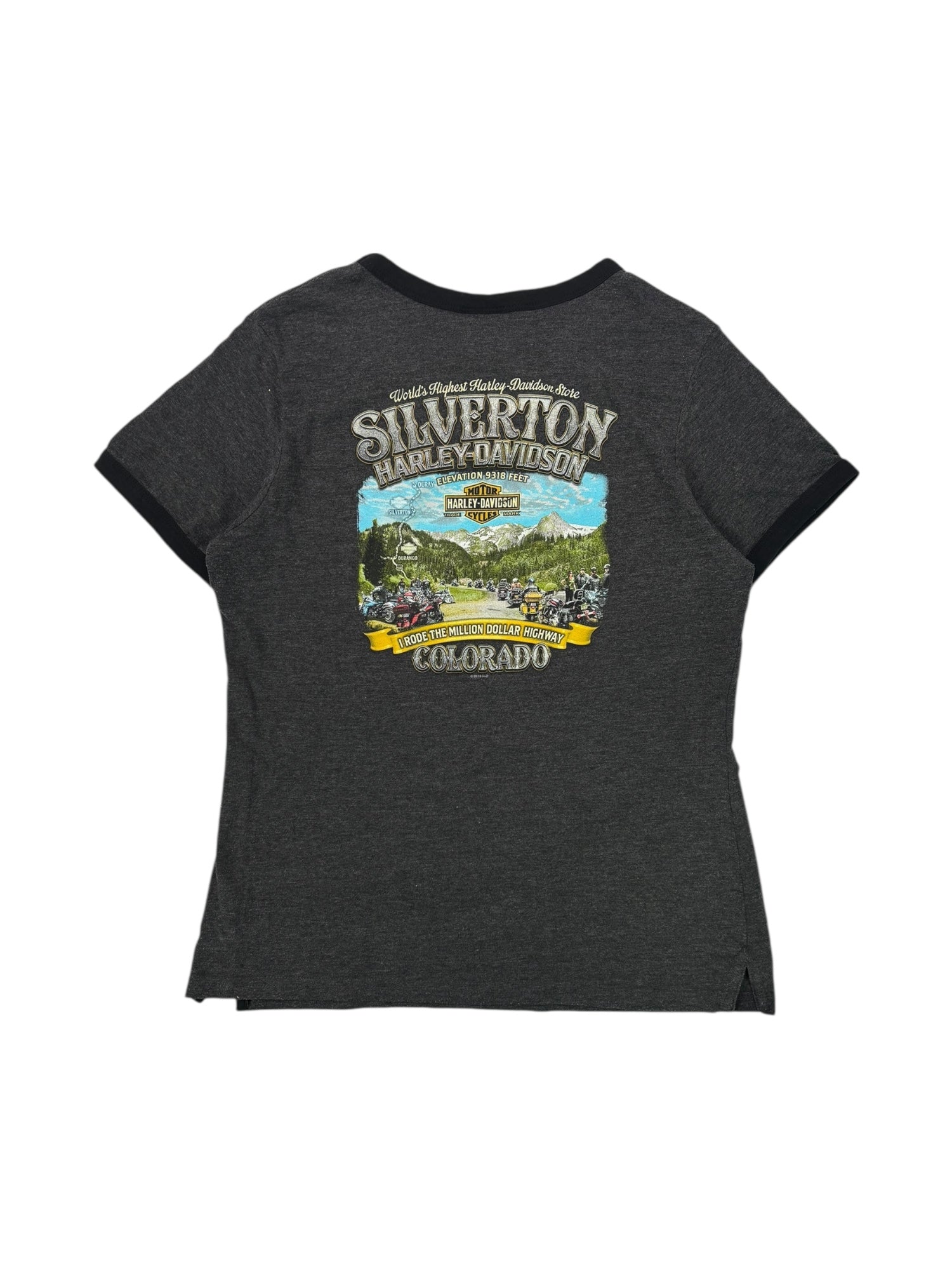 (M) Harley Davidson Silverton Tee