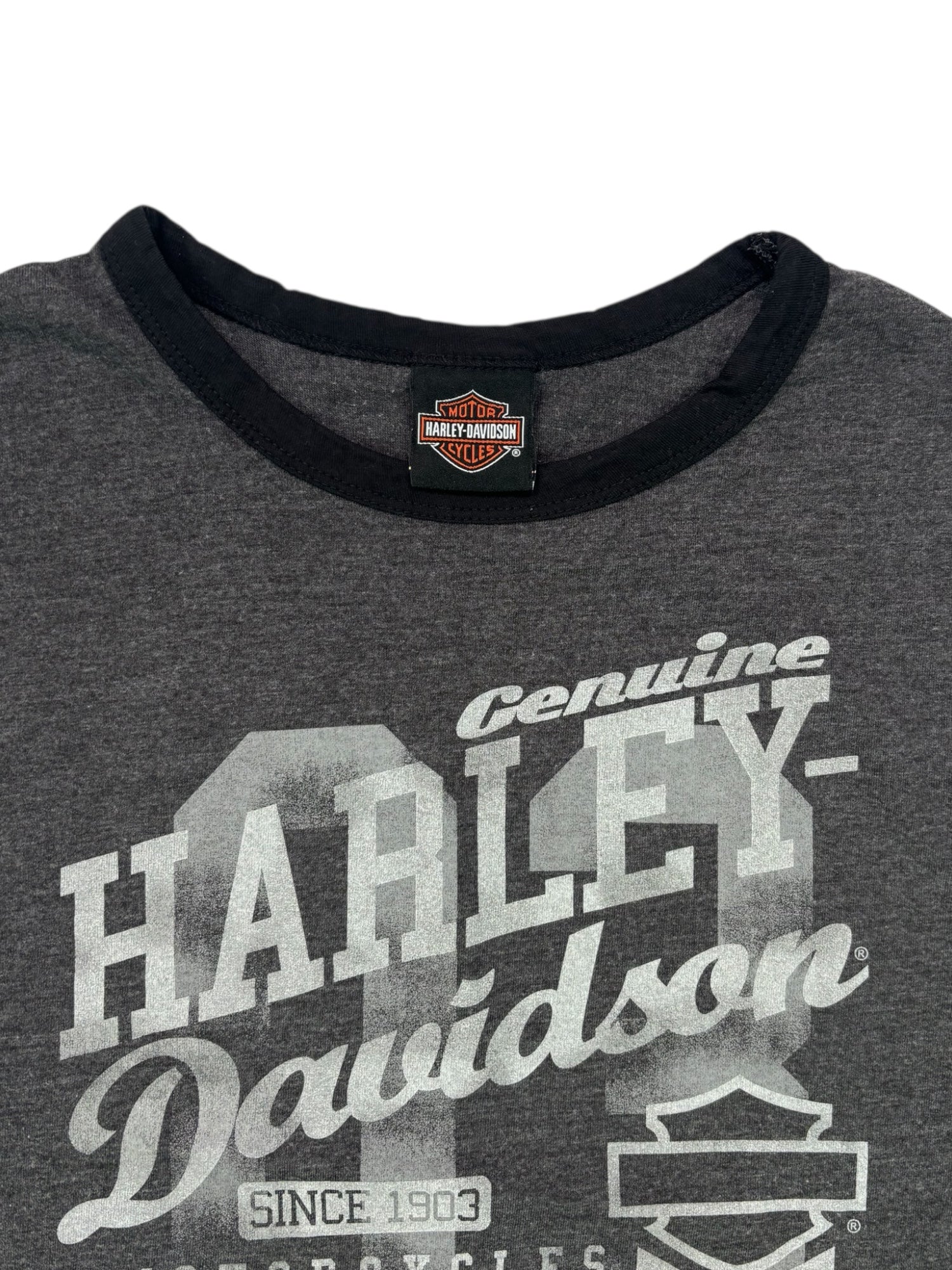 (M) Harley Davidson Silverton Tee
