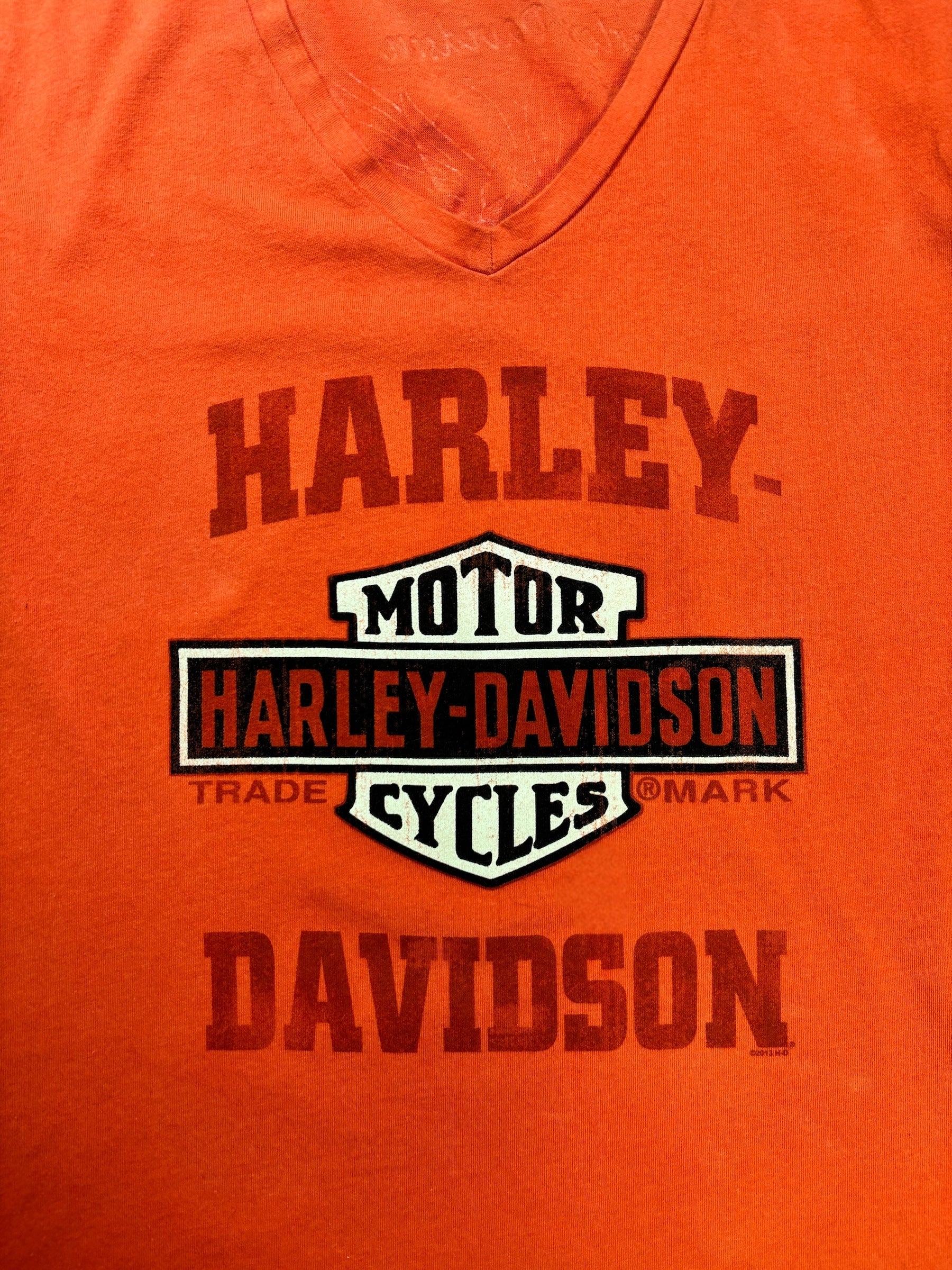 (L) Vintage Harley Davidson Tee