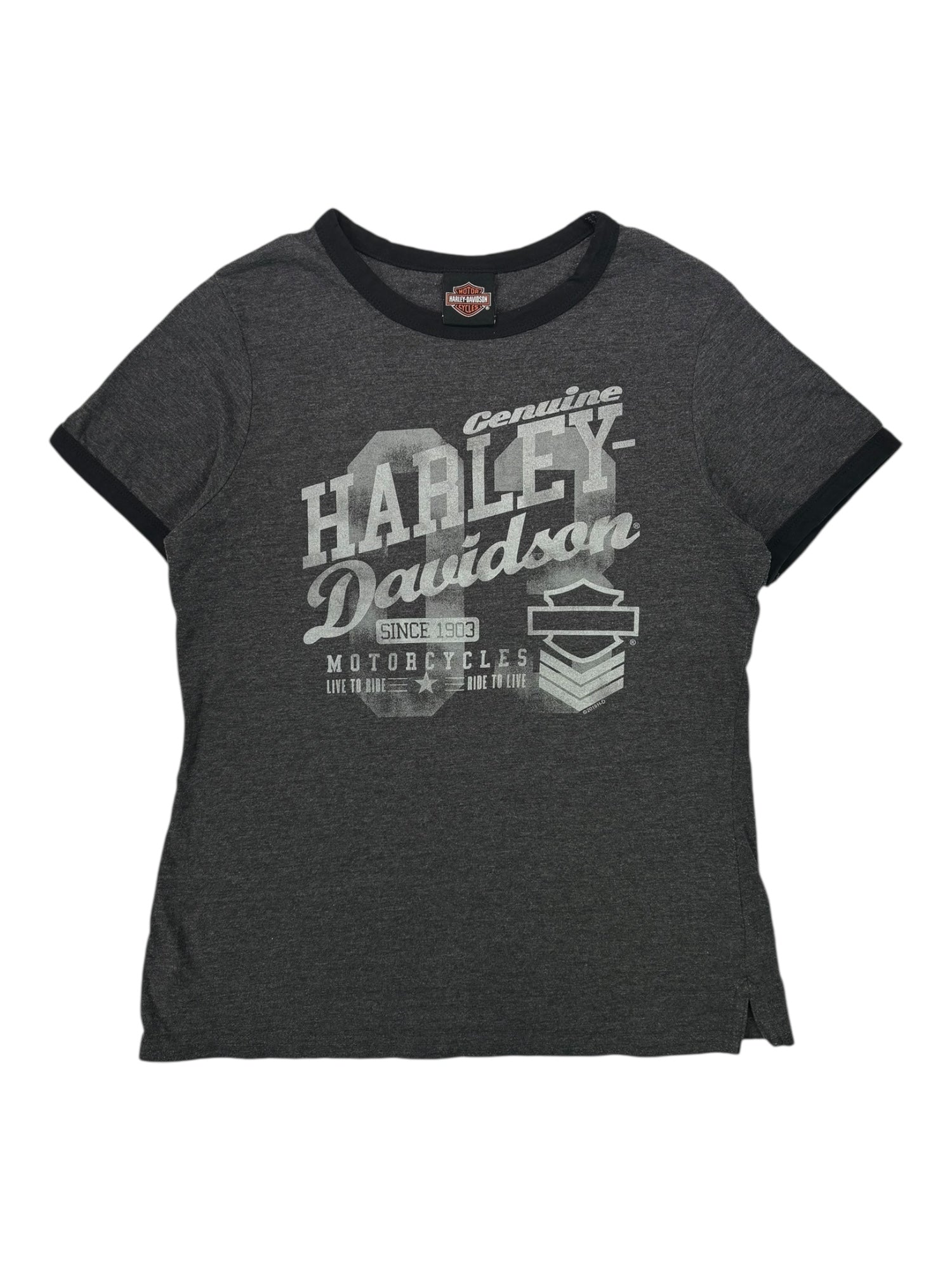(M) Harley Davidson Silverton Tee